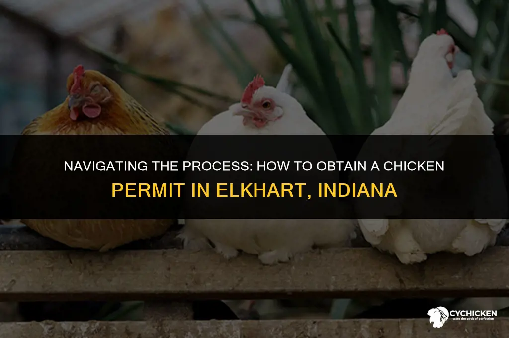 how to get a chicken permit in elkhart indiana