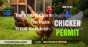Navigating the Cluck-ture: A Guide to Obtaining Your Chicken Permit