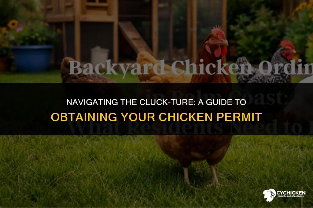 how to get a chicken permit