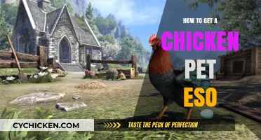 ESO Pet Chicken: Your Guide to Getting and Caring for a Feathered Friend