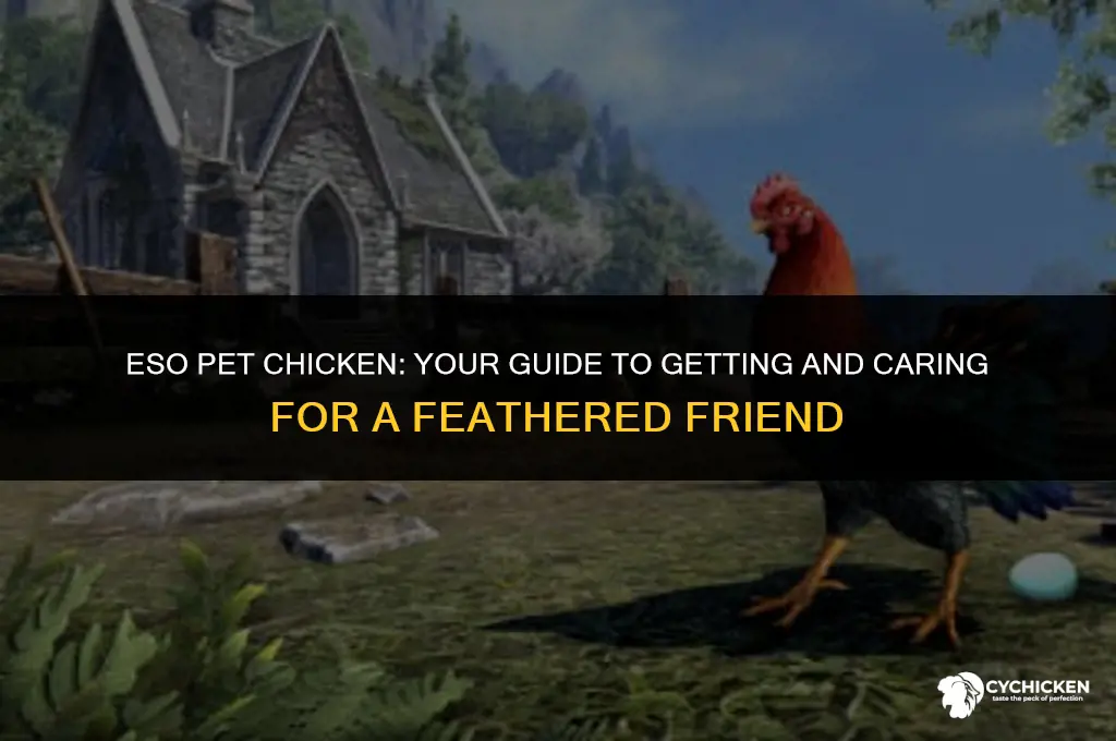 how to get a chicken pet eso