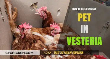 Adopting Your Feathered Friend: A Guide to Getting a Chicken Pet in Vesteria