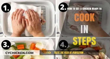 From Coop to Kitchen: A Step-by-Step Guide to Preparing Chicken for Cooking