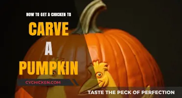 Spooky Poultry: Teaching Chickens to Carve Your Halloween Pumpkin