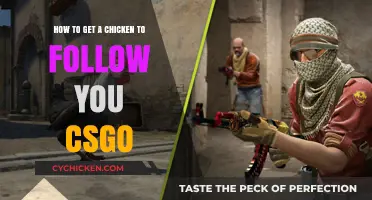 CSGO Strategies: How to Get a Chicken to Follow You