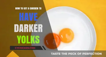 Enriching Your Chicken's Diet for Darker, Healthier Yolk Production