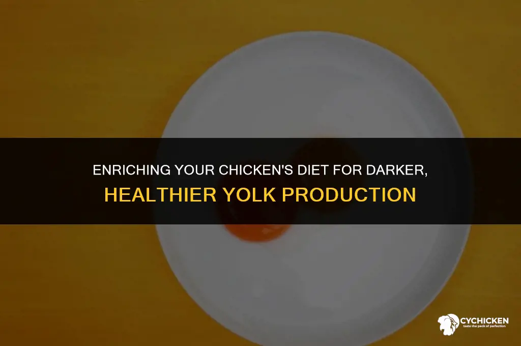 how to get a chicken to have darker yolks