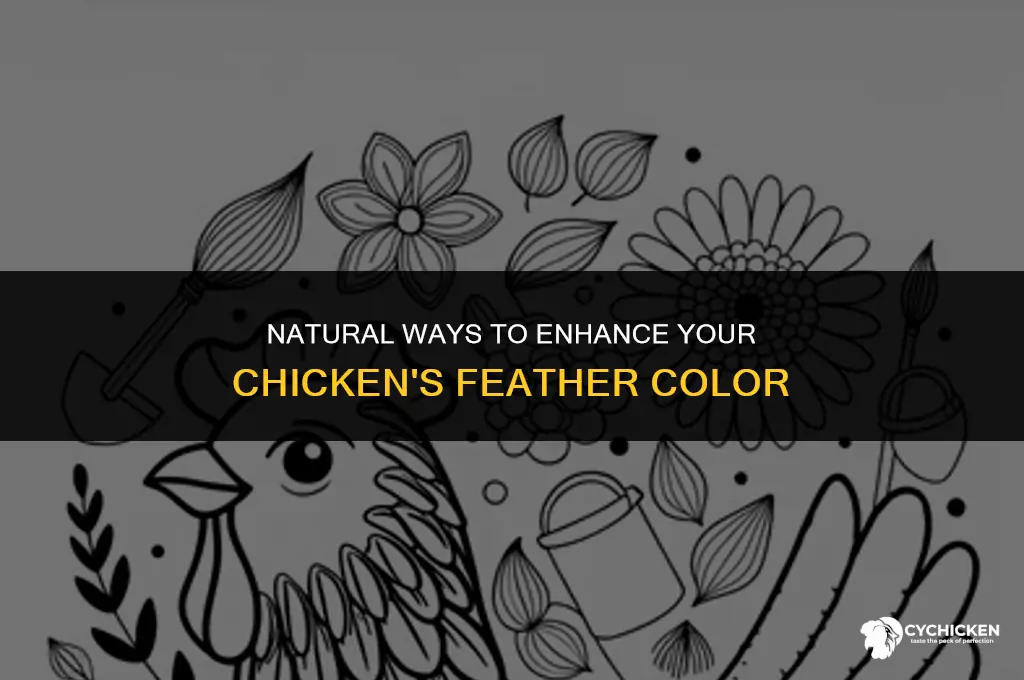 how to get a chicken to not be white