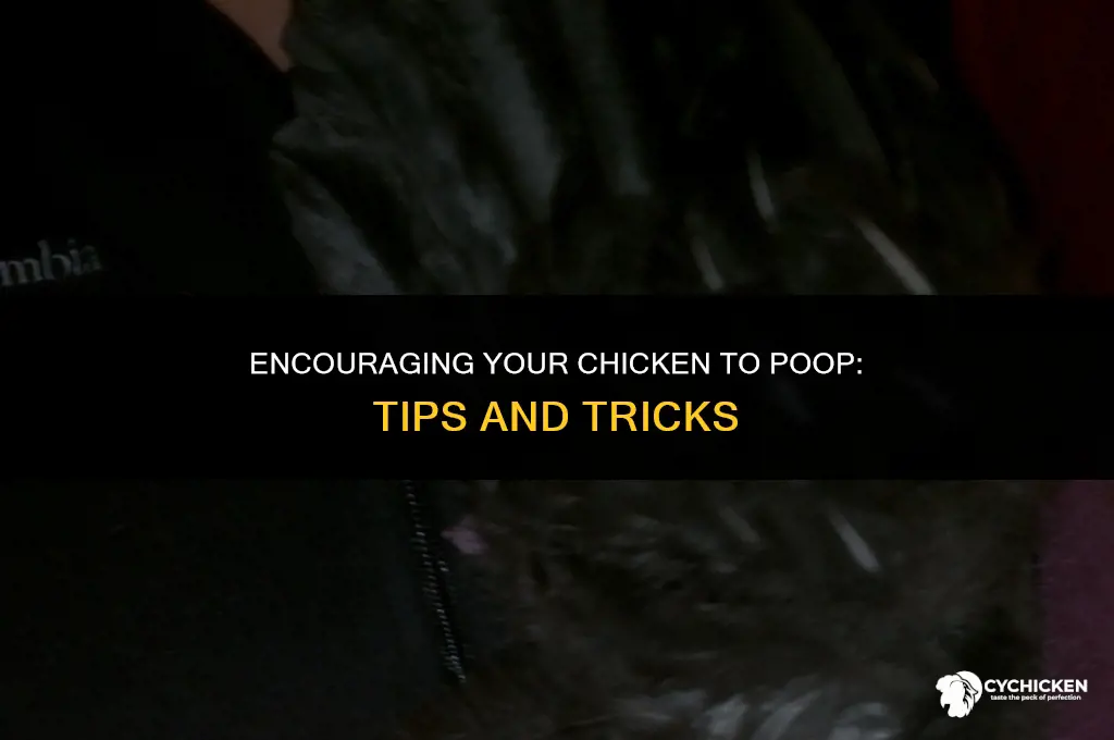 how to get a chicken to poop