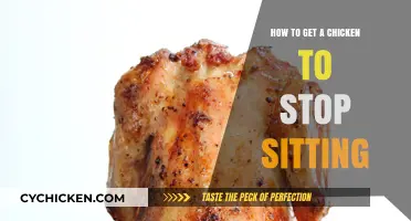 Encouraging Your Chicken to Stand Up and Move Around