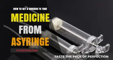 Administering Medicine to Chickens: A Guide to Syringe Feeding