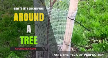 Safeguard Your Tree: A Simple Guide to Installing Chicken Wire Protection