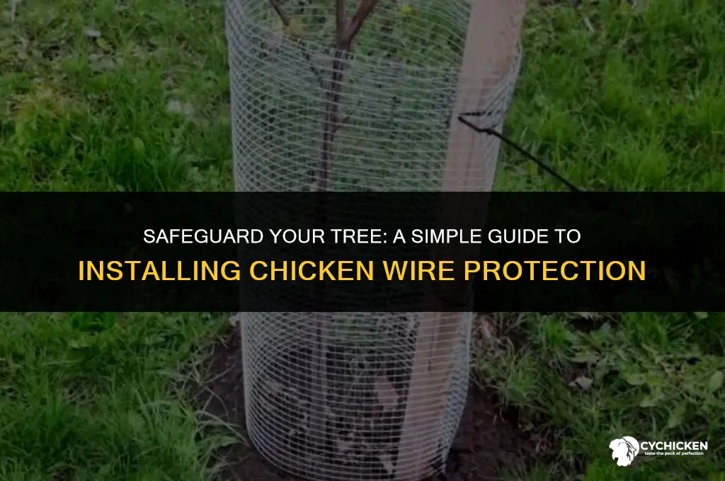 how to get a chicken wire around a tree