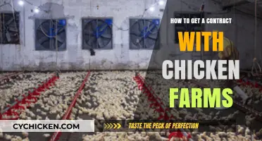Securing a Contract with Chicken Farms: A Comprehensive Guide
