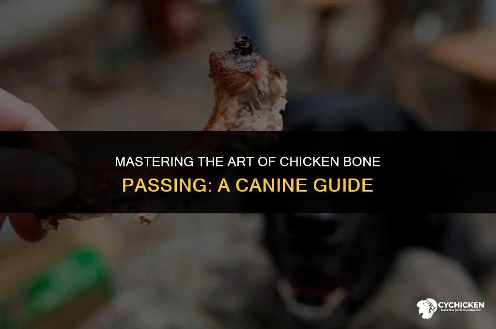 how to get a dog to pass a chicken bone