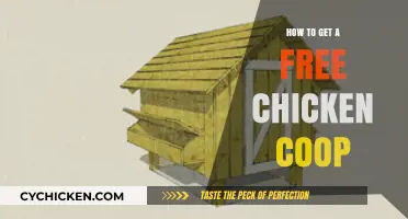Building Your Dream Chicken Coop on a Budget: Free Options Explored