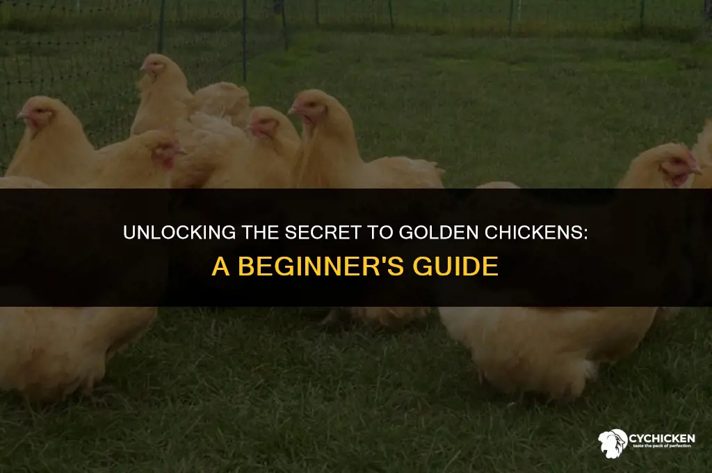 how to get a golden chicken