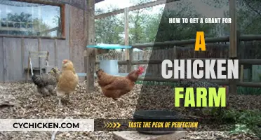 Securing Funding for Your Poultry Venture: A Comprehensive Guide