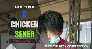 Unveiling the Unique Career Path: How to Become a Chicken Sexer