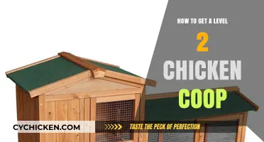 Unlocking the Secrets to a Thriving Level 2 Chicken Coop