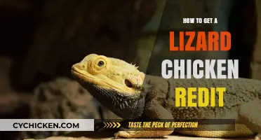 Unleashing the Secrets: How to Get a Lizard Chicken Reddit