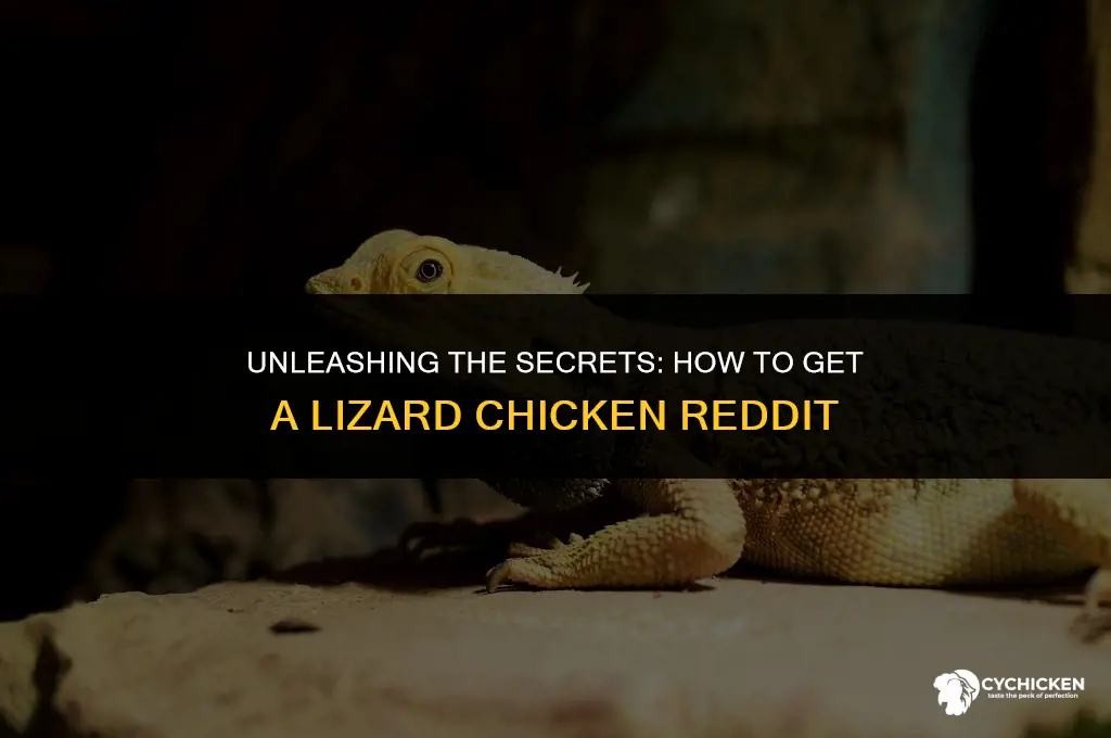 how to get a lizard chicken redit