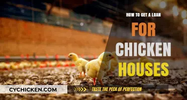 Securing Financing for Your Poultry Farming Venture: A Comprehensive Guide