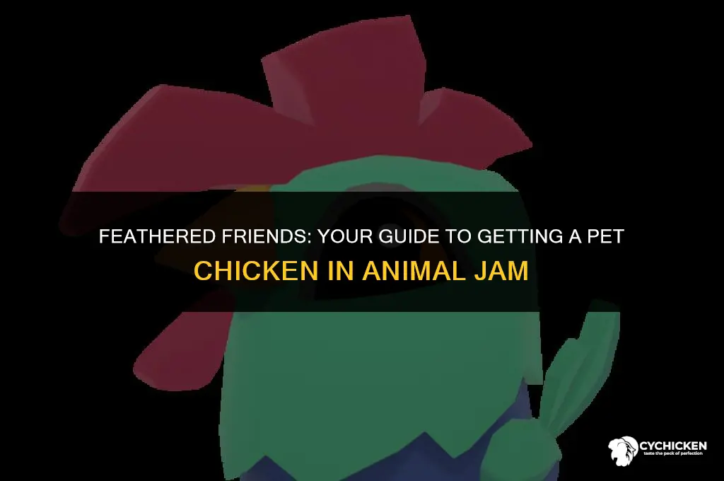 how to get a pet chicken in animal jam