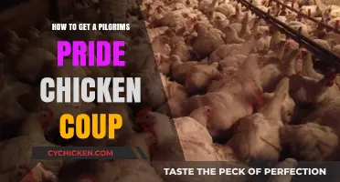 Building a Pilgrim's Pride Chicken Coop: A Step-by-Step Guide