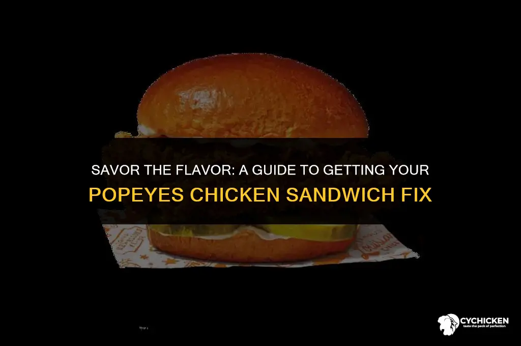 how to get a popeyes chicken sandwhich