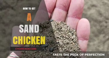 Discover the Secret to Catching a Sand Chicken: Tips and Tricks