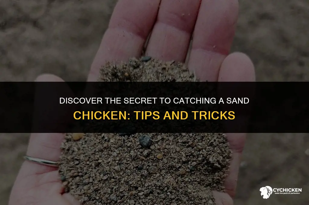 how to get a sand chicken