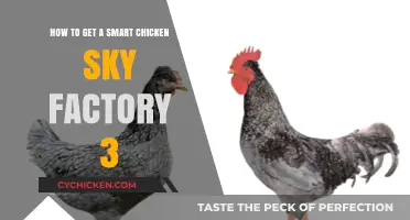 Crafting the Ultimate Smart Chicken Sky Factory in 3 Simple Steps
