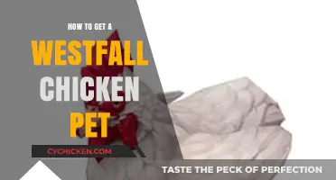 Hatching Happiness: Your Guide to Getting a Westfall Chicken Pet