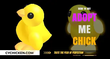 Adopting Your Dream Chick: A Step-by-Step Guide