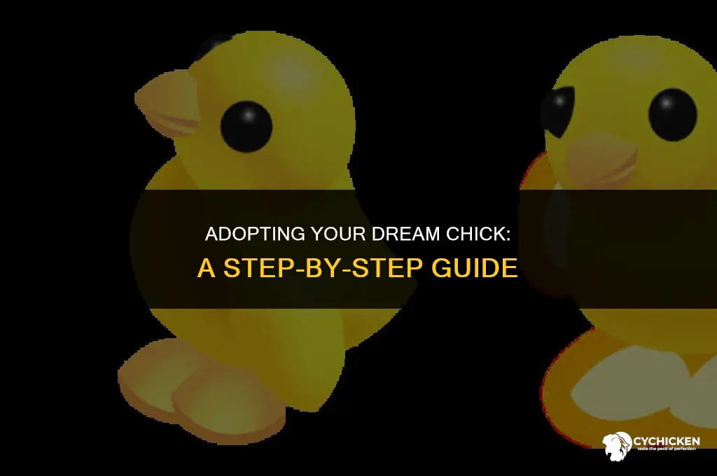 how to get adopt me chick