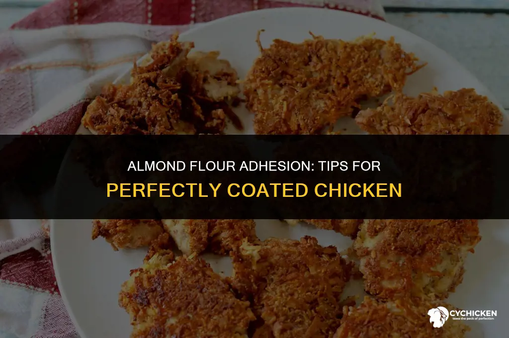 how to get almond flour to stick to chicken