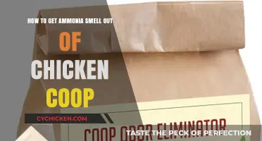 Effective Ways to Eliminate Ammonia Odor from Your Chicken Coop
