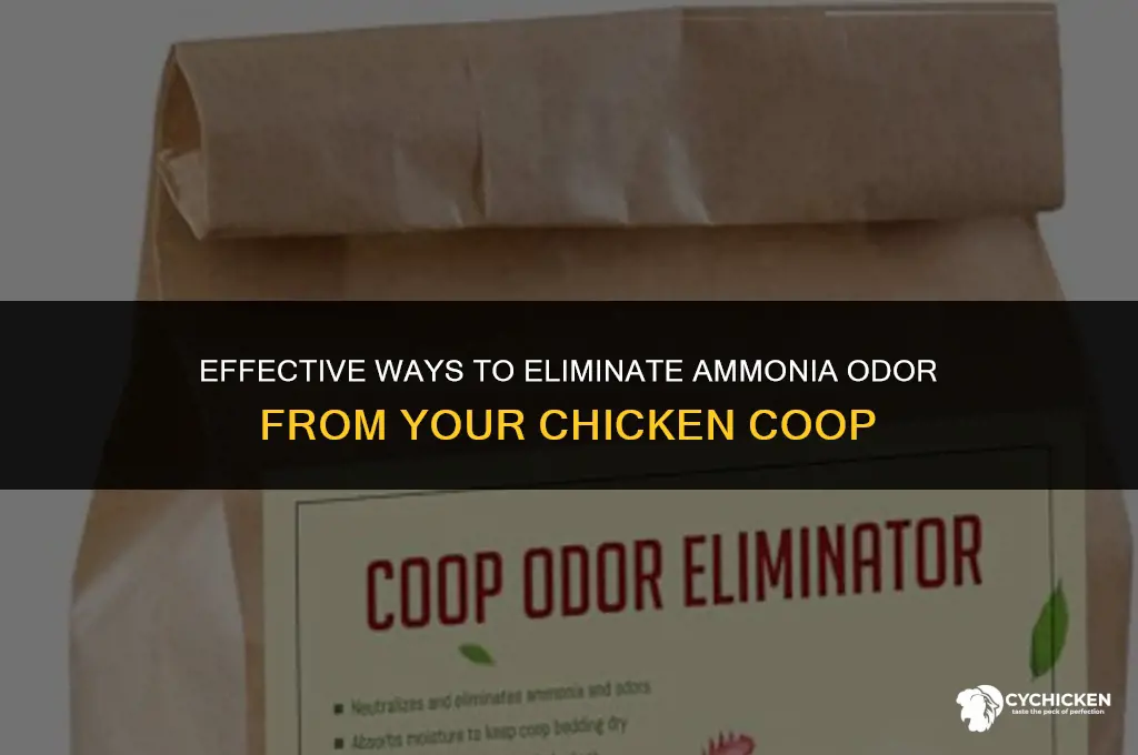 how to get ammonia smell out of chicken coop