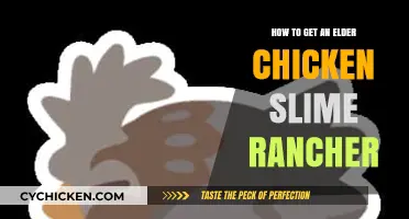 Elder Chicken Slime Rancher: A Comprehensive Guide to Acquisition