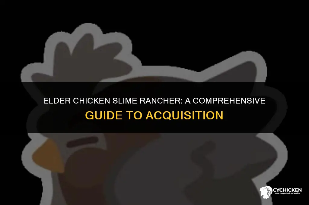 how to get an elder chicken slime rancher