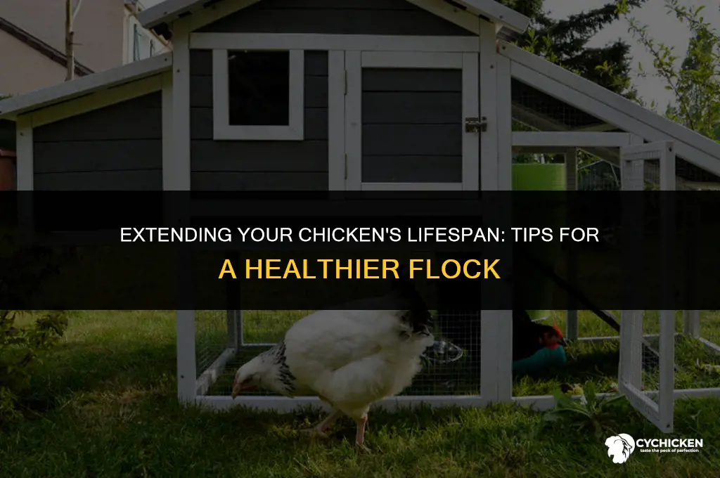 how to get another chicken lif