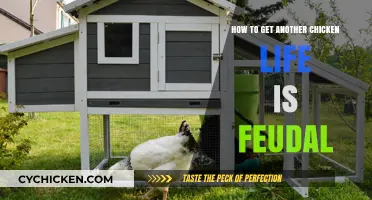 Feudal Life: Tips to Extend Your Chicken's Lifespan