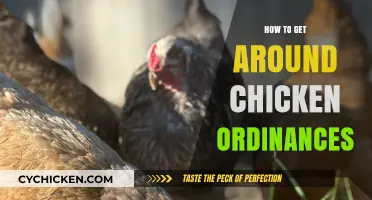 Navigating Poultry Politics: A Guide to Circumventing Chicken Ordinances