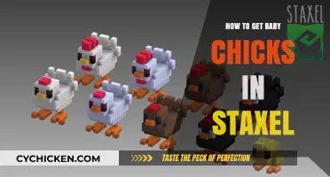 Hatching Success: A Beginner's Guide to Getting Baby Chicks in Staxel