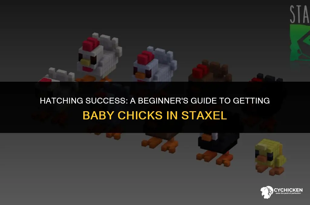 how to get baby chicks in staxel