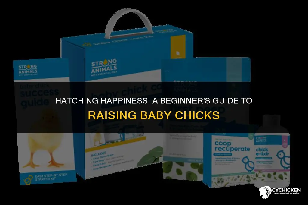 how to get baby chicks