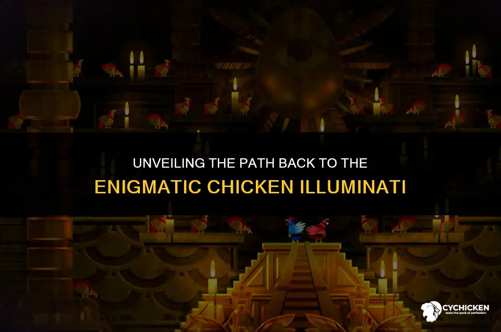 how to get back to the chicken illuminati