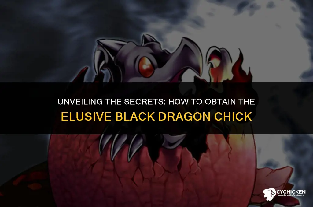 how to get black dragon chick