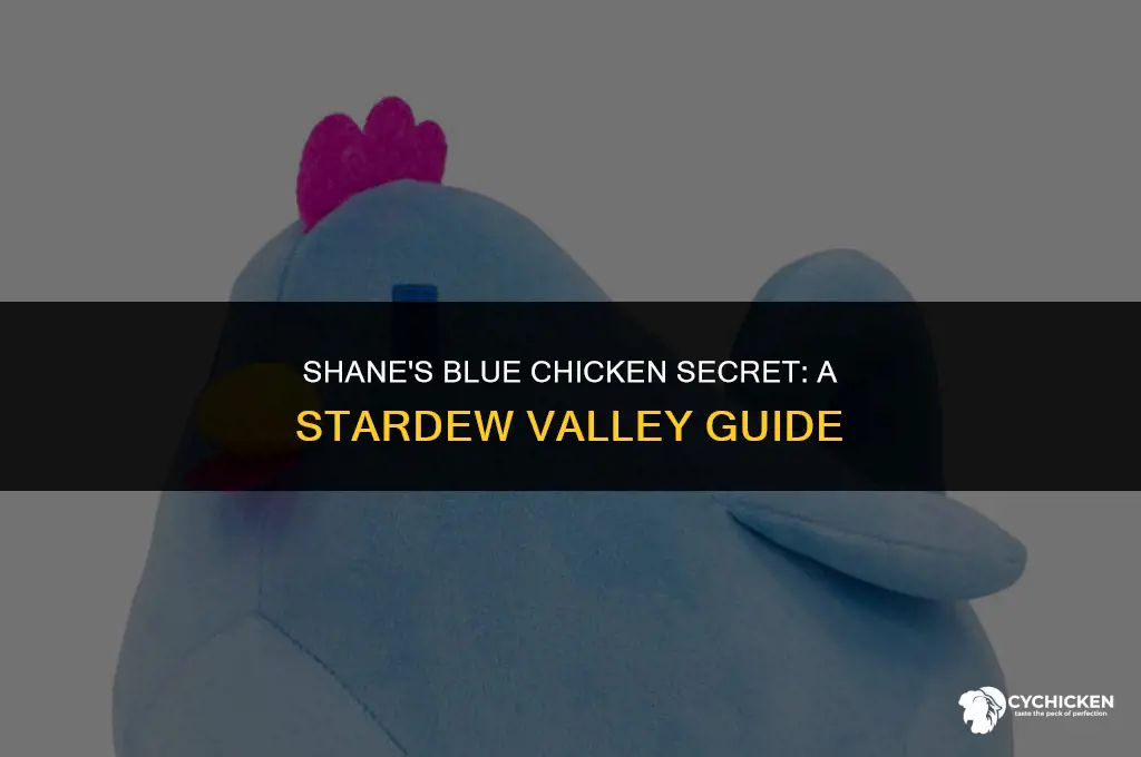 how to get blue chicken stardew shane